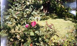 Fotografía 7