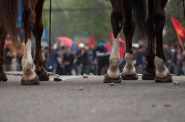 Manifestantes en segundo plano, patas de caballo en primer plano