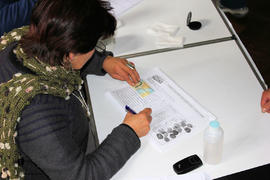 Persona votando en el Plebiscito Nacional por la Educación