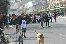 Manifestantes marchando por la Alameda